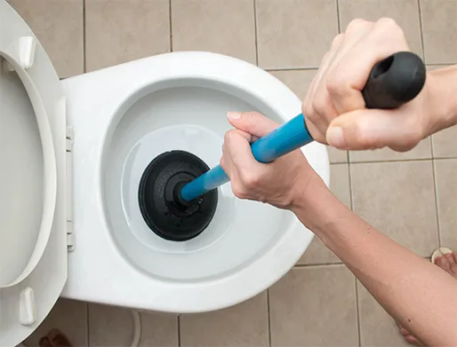 Como Desentupir Vaso Sanitário no Portal do Areião em Cotia
